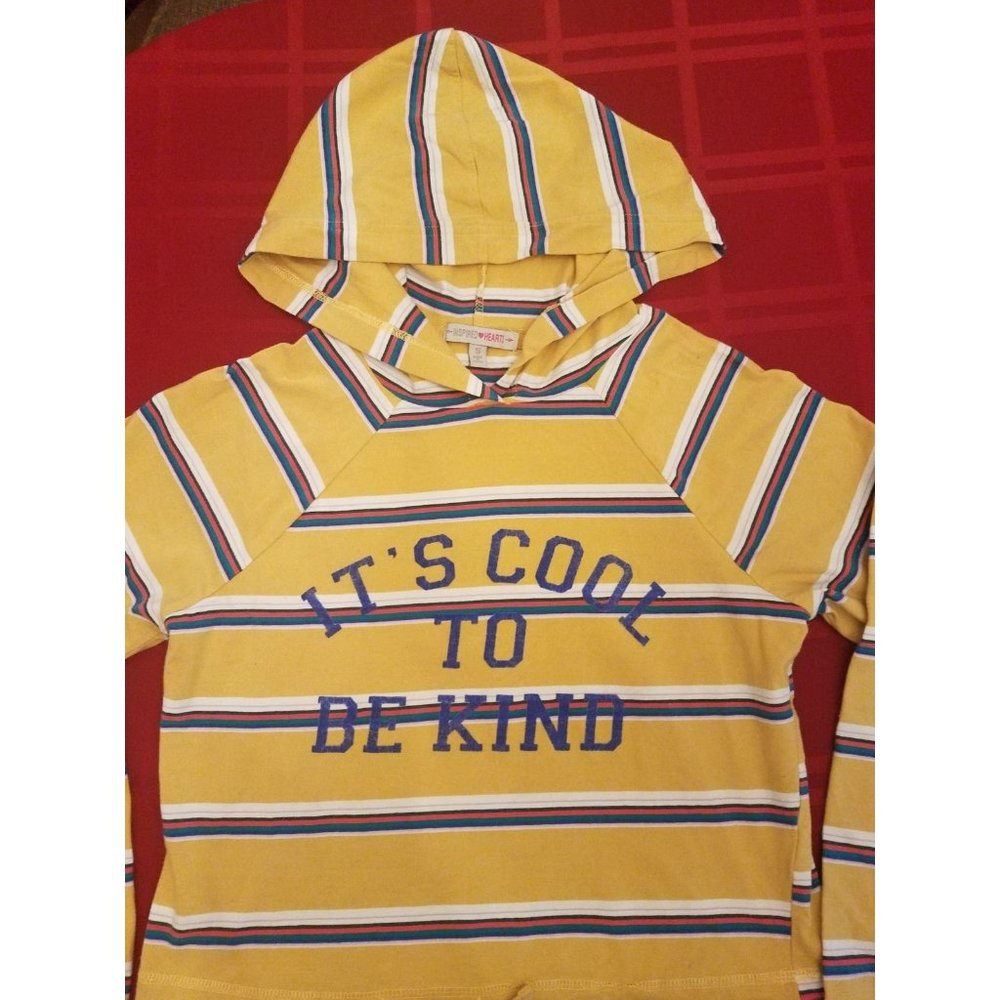 Crop Hoodie Size Small